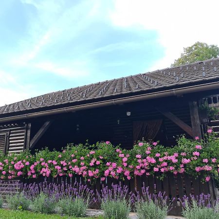 Amb Village Point Dob Bagian luar foto